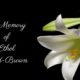In Loving Memory of Carolyn Ann Stewart (1)