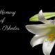 In Memory of Luada Rhodes